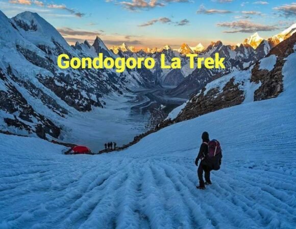 K2 and Gondogoro La Trek