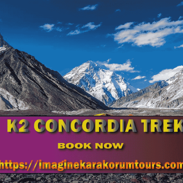 k2 concordia trek