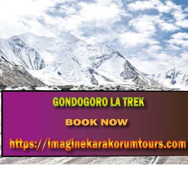 gondogoro la trek