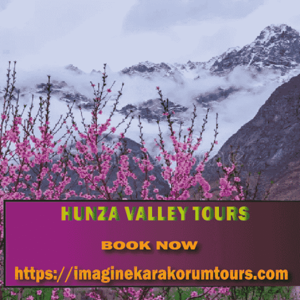 Hunza Valley Tour