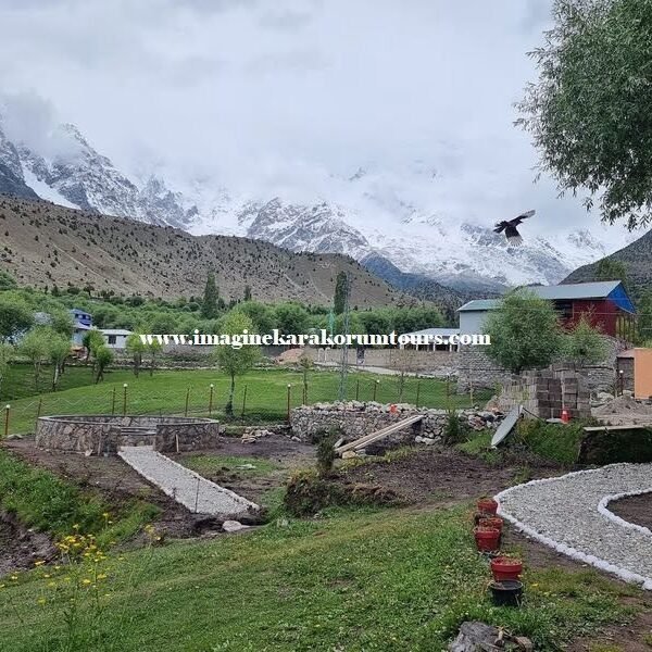 k2 & Nanga Parbat Base Camp Trek