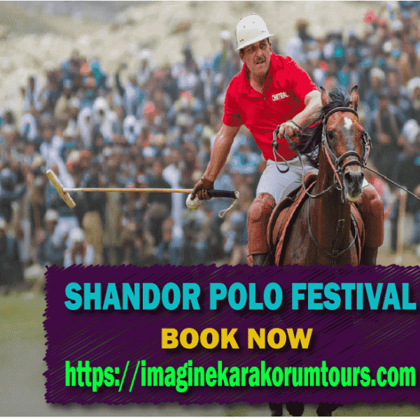 Shandor Polo Festival