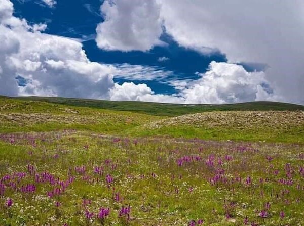 Deosai National Park Tour