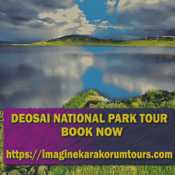 Deosai National Park