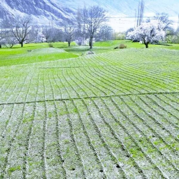 Gilgit Batistan Tour