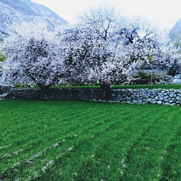 Gilgit Batistan Tour