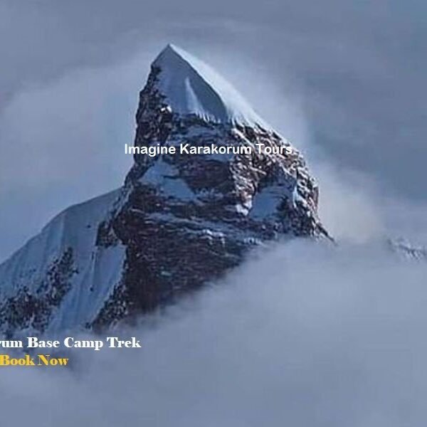 Masherbrum Basecamp trek