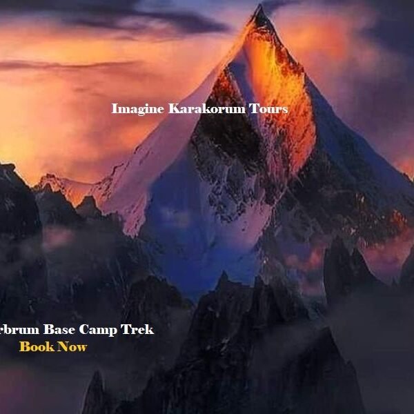 Masherbrum Basecamp trek