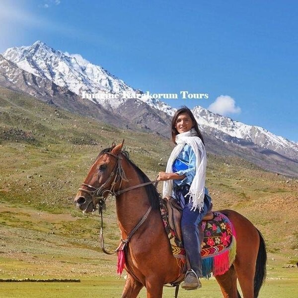 Shandur Polo Festival