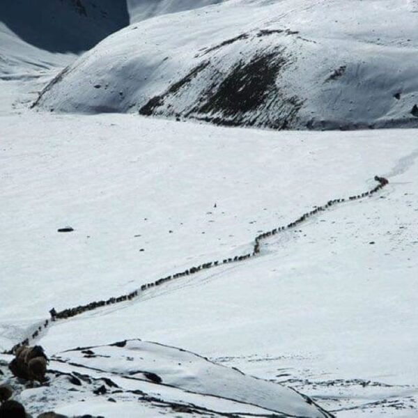 Shimshal pass Trek